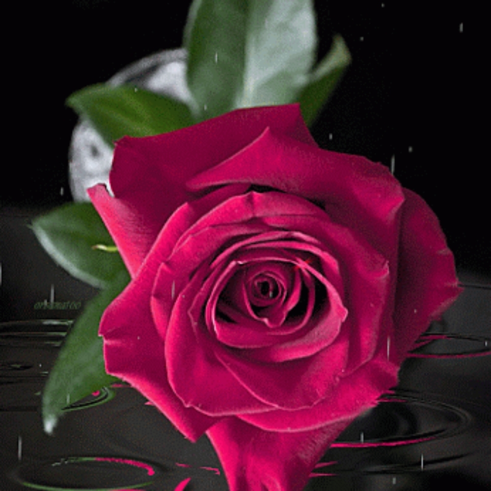 COPY - Meet your Posher, Margaret